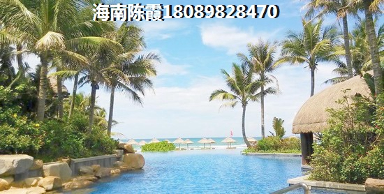 海南鴻坤山海墅鳥瞰圖