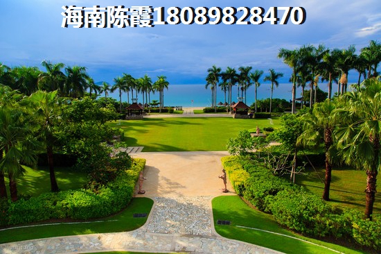 ?？赬G政策