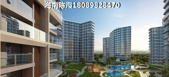 白金海岸紙得touzi嗎？
