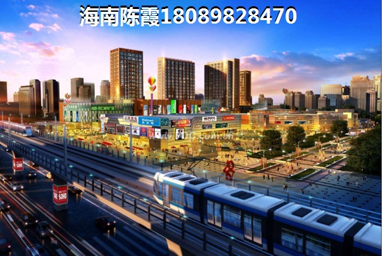 >2021儋州購房分析