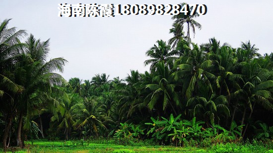 “候鳥”老人在瓊海買房好不好