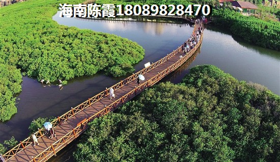 陵水香水灣哪個地方不潮濕不刮風(fēng)（2022年陵水香水灣在哪兒買房好）