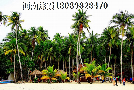 海鑫城分析