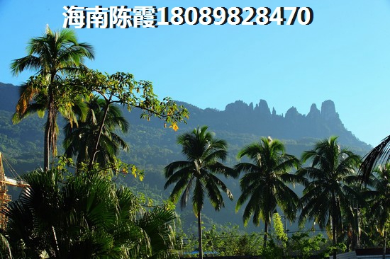 海南三亞海棠灣過(guò)冬別墅哪里買(mǎi)醉好？3