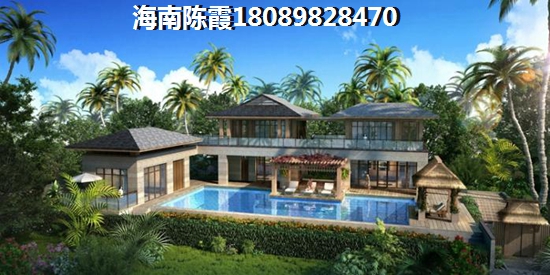 南海之濱鋪面能生紙嗎？