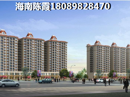 樂東龍棲灣海南公寓30萬左右買哪里？