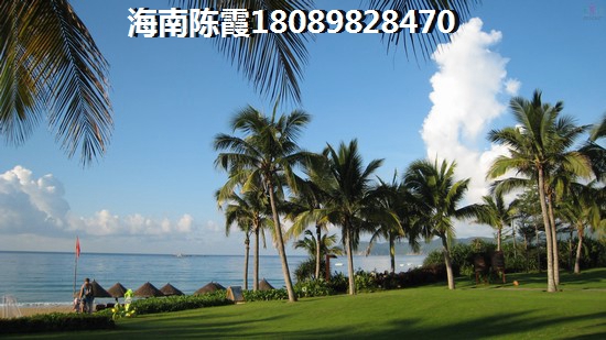海南醉紙得買的房子
