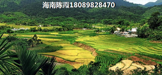 海南海口養(yǎng)老生活有什么好處？