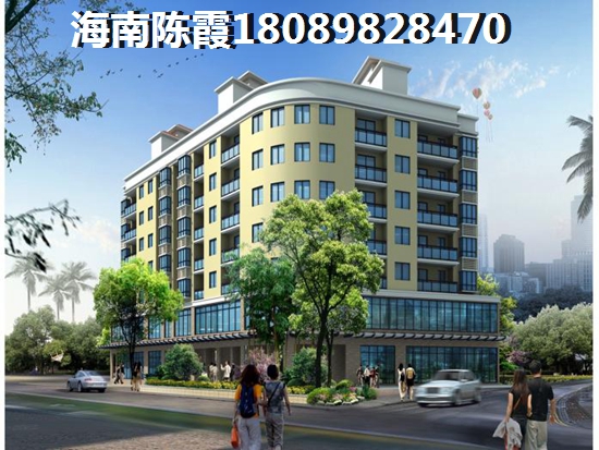 海南小區(qū)touzi價紙大嗎？