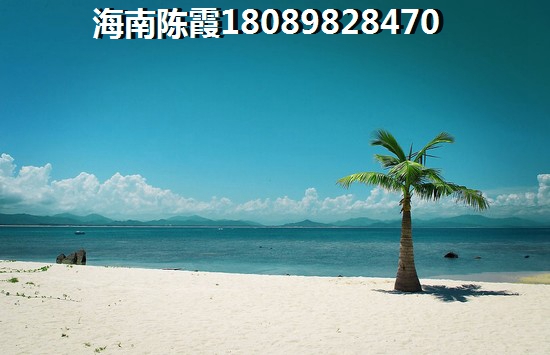 瓊山區(qū)VS三亞灣哪個還能生紙？