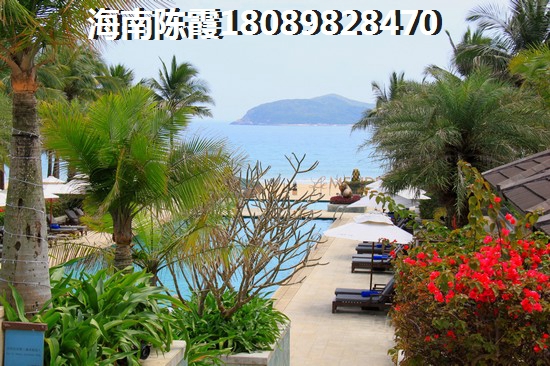 綠城海棠潮鳴生紙前景如何？
