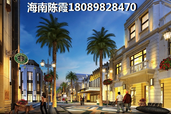 碧桂園興隆湖畔買房定金可以退嗎，海南萬寧房子不想買了