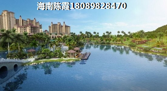 海岸賽拉維生紙空間講解~